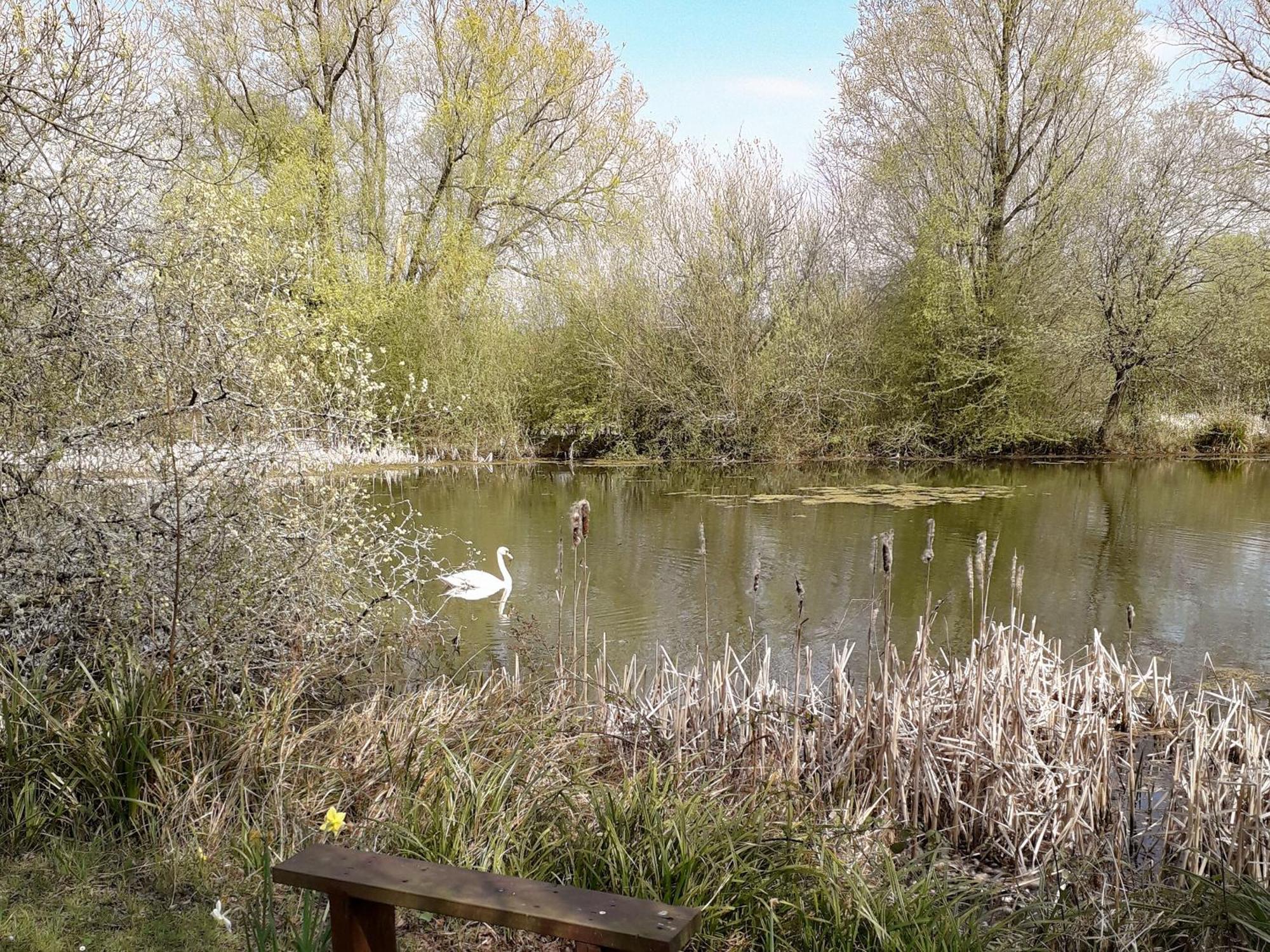 Herons Nest Bourton-on-the-Water Exterior foto